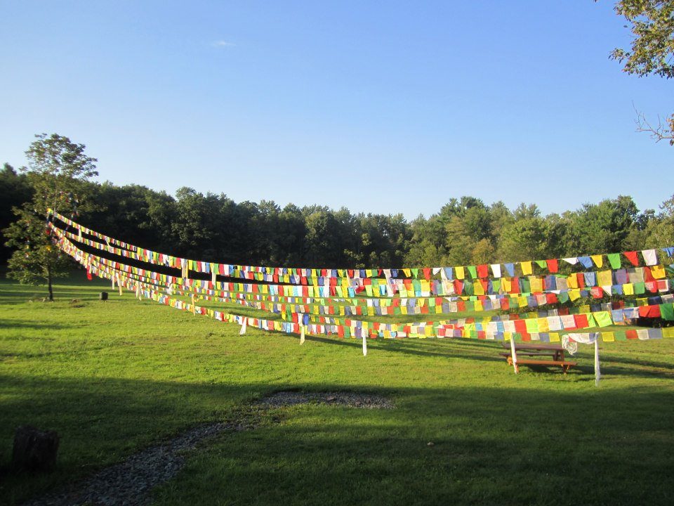 Prayer flags strung across a meadow in Cochecton
